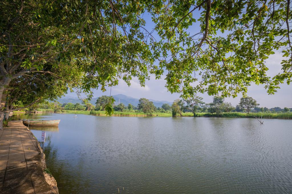 Mps Village Dambulla Exteriör bild
